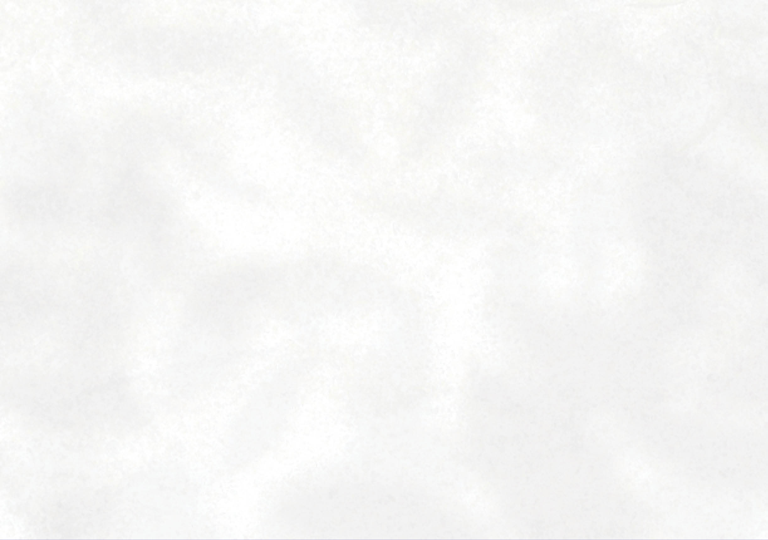 Abstract blurred background. The shadow reflection of leaves and gray light lines. on the white surface concrete wall. for wallpaper, backdrop and design.