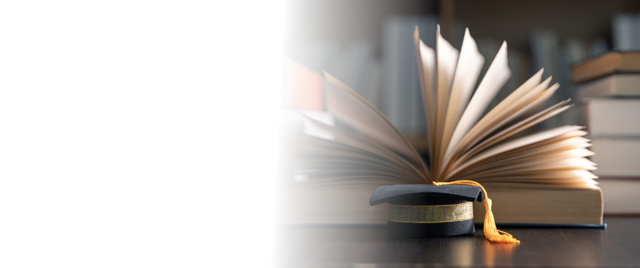 Background of graduation ceremony, people celebrated success of students receiving their higher education certificates, adorned with ribbon, against backdrop of black caps. education, higher.