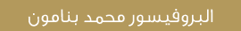 البروفيسور محمد بنامون