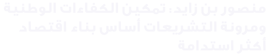 منصور بن زايد: تمكين الكفاءات الوطنية ومرونة التشريعات أساس بناء اقتصاد أكثر استدامة 