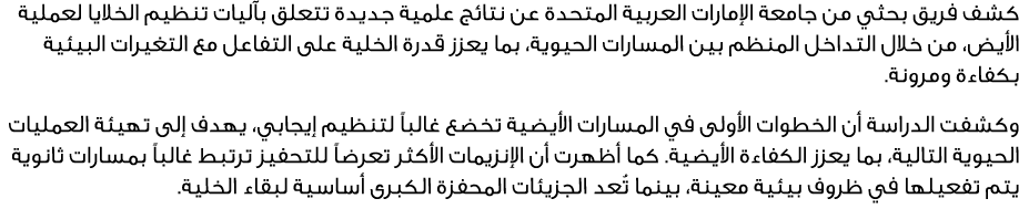 كشف فريق بحثي من جامعة الإمارات العربية المتحدة عن نتائج علمية جديدة تتعلق بآليات تنظيم الخلايا لعملية الأيض، من خلال...