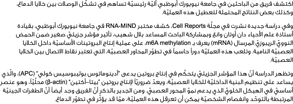 اكتشف فريق من الباحثين في جامعة نيويورك أبوظبي آليّة رئيسيّة تساهم في تشكّل الوصلات بين خلايا الدماغ، وكذلك بعض النتا...