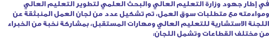 في إطار جهود وزارة التعليم العالي والبحث العلمي لتطوير التعليم العالي ومواءمته مع متطلبات سوق العمل، تم تشكيل عدد من ...