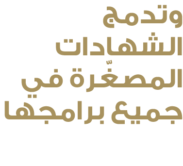 وتدمج الشهادات المصغّرة في جميع برامجها