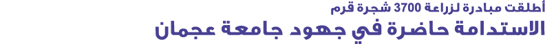 أطلقت مبادرة لزراعة 3700 شجرة قرم الاستدامة حاضرة في جهود جامعة عجمان 